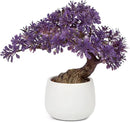 Purple Artificial Bonsai Tree Juniper Faux Plants Indoor Fake Plants Decor with Ceramic Pots for Home Table Office Desk Bathroom Shelf Bedroom Living Room Farmhouse Decorations by GreenHaven Gardens