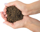 Premium Natural Sphagnum Peat Moss - Gardening Soil Amendment and Carnivorous Plant Soil Media by Gardenera (2 Quart Bag) by GreenHaven Gardens