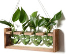 Plant Propagation Stations Heart Plant Terrarium Kit Gift for Women Plant Lover Glass Vases by GreenHaven Gardens