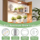 LORDEM Ceiling Grow Light for Indoor Plants, 144 LEDs Full Spectrum LED Plant Light, 5V Plant Lamp with 4/8/12H Auto Switch, 4 Dimmable Brightness Levels, Ideal for Small Plants, Tri Head, Corded by GreenHaven Gardens