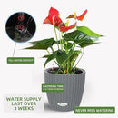 Dexceder 9x8 Inches Rattan Self Watering Planter Indoor Outdoor, Inner Pot Design, Thickened Table Flower Plant Pot with Water Level Indicator (Deep Gray) by CozyNest Decor