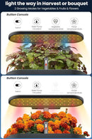 inbloom 12 Pods Hydroponics Growing System Kit, Herb Garden Planter Indoor Kit, Indoor Gardening Hydroponics Growing System with Pods, 4.2L Water Pump, Height Adjustable, Gifts for Woman, Black by GreenHaven Gardens