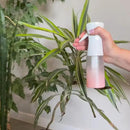 Watering Can for Indoor House Plants - Cute Decorative Metal Gardening Small Water Can for Houseplants & Flowers with Long Spout - 1.5L 51floz 0.4 Gallon (Hummingbird Black) by GreenHaven Gardens