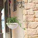 Mkono Hanging Plant Bracket Hook Iron Decorative Plant Hanger for Flower Basket Bird Feeder Wind Chime Lanterns, 1 Pack by GreenHaven Gardens