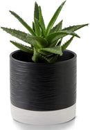 Nihow Ceramic Plant Pot: 6 Inch Planter with Drainage Hole & Saucer for Indoor & Outdoor Plants - Cylinder Round Flower Pot for Succulent/Herbs/Violets - Black & White by CozyNest Decor