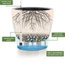 Dexceder 9x8 Inches Self Watering Planter Indoor Outdoor, Inner Pot Design, Thickened Table Flower Plant Pot with Water Level Indicator (Peacock Blue Gradient) by GreenHaven Gardens