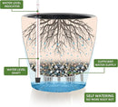 Dexceder 9x8 Inches Self Watering Planter Indoor Outdoor, Inner Pot Design, Thickened Table Flower Plant Pot with Water Level Indicator (Peacock Blue Gradient) by CozyNest Decor
