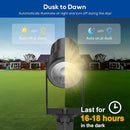 ZYAN Solar Landscape Spotlights Outdoor Waterproof IP65, Bright Solar Powered Garden Yard Spot Lights for Outside Plant, Tree, Pathway, Auto On/Off Wall Lights for Walkway, Lawn, Pool Areas-4 Pack by GreenHaven Gardens