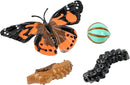 Insect Lore Butterfly Garden with Two Cups of Live Caterpillars, Life Cycle Figurines, English and Spanish Butterfly STEM Activity Journals | 10 Painted Lady Butterfly Baby Caterpillars by TinyTreasures Baby Boutique