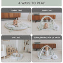 6-in-1 XL Play Mat & Play Gym, Baby Gym, Baby Activity Gym, Sensory Exploration and Motor Skill Development Toys (Sage) by TinyTreasures Baby Boutique