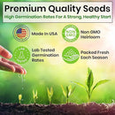 5 Herb Seeds Variety Kit, Oregano, Cilantro, Parsley, Basil, Chives by GreenHaven Gardens