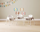 Foundations Secure Sitter Feeding Chairs Multipack, No-Tip Feet, 3-Point Adjustable Harness, Removable Tray, Easy to Clean, Stackable Feeding Chairs, 3 Pack (11 inch) by TinyTreasures Baby Boutique