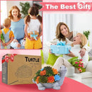 Outdoor Turtle Key Hider Statue - Cute Succulent Turtle Hide a Key Outdoor Decorative - Small Gift Box for Women, Home Decor & Turtle Gifts (Turtle) by GreenHaven Gardens