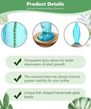 Nacome Fish Vase Glass Plant Terrarium with Wooden Stand,Planter Propagation Station for Home Office Hydroponics Desk Decoration,Unique Gardening Gifts for Plant Lovers Women Mom(Blue) by CozyNest Decor