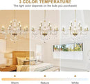 Modern Elegant 15 Lights K9 Crystal Glass Chandelier Golden Pendant Ceiling Lighting European Style for Dining Living Room Bedroom Transparent,15 E12 Bulbs Required by CozyNest Decor