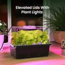 MIXC 6-Pack Seed Starter Tray Kit with Plant Light Seedling Trays with Adjustable Humidity Domes & Clear Cell Trays 12 Full Spectrum LED Beads for Indoor Plant Growth(Black) by GreenHaven Gardens