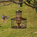 Upgraded Squirrel Proof Bird Feeders, 3Lbs Capacity Caged Bird Feeder, Innovative DIY Starling-Proof, Flexible Adjustment of Grille Size, Caged Seed Tube Feeders Outside Hanging(Copper) by CozyNest Decor