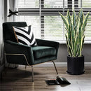 Plant Pots 10 Inch Ceramic Planter with Drainage Hole and Saucer, Matte Black Modern Cylinder Planter Pot for Indoor Outdoor Plants Flowers, Full Glazed Finish by GreenHaven Gardens