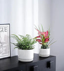 Ton Sin Plant Pots, 4.1+5.1+6.5 inch, Set of 3, Ceramic Planters with Drainage Hole and Saucer, Indoor Flower Pot with Hole Mesh Pad, Gifts for Mom(Reactive Glaze White) by GreenHaven Gardens