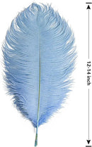 THARAHT Baby Blue Ostrich Feathers 12pcs Large Natural Bulk 12-14Inch 30cm-35cm for Wedding Party Centerpieces Easter Gatsbi and Home Decoration Feathers by CozyNest Decor