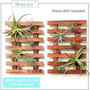 ShopLaLa Wall Planter - 2 Pack Wooden Orchid Planter Frame Display Outdoor Plants, Wall Mount Air Plants Succulent Holder Hanger, Vertical Garden Plant Wall Decor Macetas para Orquideas 15.7" (40cm) by GreenHaven Gardens