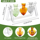 Plant Terrarium Propagation Stations with Acrylic Stand Birthday Gifts for Women Plant Stand Indoor Office Home Decor by GreenHaven Gardens