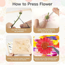 Extra Large Flower Press Kit 10.8 x10.8 inches with Storage Bag, DIY Arts and Craft Kit 10 -Layers, Ideal Gift for Flower & Plant Lovers by TinyTreasures Baby Boutique