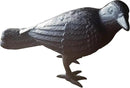 NACH Cast Iron Crow Statue, Head to Side Raven, Large Garden Statues, Crow Garden Sculpture, Bird Figurines Home Decor, Crow Decor, Raven Decor, Black Bird Statue, 4 x 11 x 6.5 inches, JS-90-7115 by GreenHaven Gardens