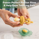 Haakaa Baby Fruit Food Feeder & Mini Freezer Nibble Tray Combo, Breastmilk Popsicle Molds for Baby Cooling Relief, BPA Free Silicone Feeder for Safe Infant Self Feeding, 4 Month+ (Mustard) by TinyTreasures Baby Boutique
