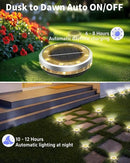 Solar Ground Lights Outdoor 18 Pack Waterproof, Upgraded Solar Garden Lights with 4 Side Light, Stainless Steel Solar Powered Disc Landscape Light for Walkway Lawn Yard Patio Deck-Warm White by CozyNest Decor