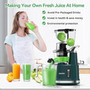 Cold Press Juicer,Aeitto Slow Masticating Juicer with Wide & Dual Feed Chute for Vegetables and Fruits, High Juice Yield, Self Feeding for Juice Extractor, BPA-Free, Dark Green by CozyNest Decor
