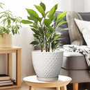 G EPGardening 8 Inch Plant Pot for Indoor Outdoor Plants Round Ceramic Planter Pot with Drainage Hole and Saucer Modern Large Flower Pot White by CozyNest Decor