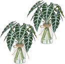 Artificial Flowers Turtle-Back, Alocasia Leaf, in Glass Vase with Faux Water,7Pcs Artificial Leaves Real Touch Latex Leaves for Centerpiece (2, Alocasia Leaf) by CozyNest Decor