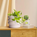 Tiered Bubble Ceramic Plant Pot, Creamy White 6 Inch Ceramic Planter with Drainage Holes, Ceramic Flower Pot with Mesh Pad, Rubber Plugs, Ceramic Pots for Indoor Plants Outdoor, Modern Décor by GreenHaven Gardens