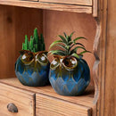GeLive Blue Owl Ceramic Succulent Planter with Drainage Hole Animal Plant Pot Tabletop Decoration Vase Window Box Indoor Outdoor Decor (Blue) by GreenHaven Gardens