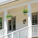 ZMTECH 12 Inch Large Hanging planters for Indoor, 2 Pack Self Watering Plant Pot for Outdoor Garden Porch, Hanging Flower Pot with Visible Water Level & Removable Tray(12Inch, Green) by GreenHaven Gardens
