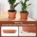 INGOFIN Terracotta Pots Set with Saucer - 2-Pack Ceramic Clay Planters with Drainage Hole, Garden Flower Succulent Pots with Tray for Indoor Outdoor Plants, 8 inch, Set of 2 by CozyNest Decor