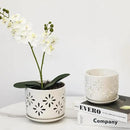 EFISPSS Orchid Pot-5+6 Inch,Ceramic Drainage Orchid Pots with Holes, Enhance Good Ventilation and Drainage,Orchid Pots Indoor/Outdoor Plants or Repotting by GreenHaven Gardens