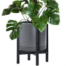 D'vine Dev Ceramic Planter with Ebony Stand - 12 Inch Modern Round Flower Pot with Wood Planter Holder, Grey, 55-B-H-3 by GreenHaven Gardens