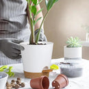 5 Pack 5 inch Self-Watering Pots, African Violets Planter with Drainage Holes and Reservoir, White Brown Plastic Planter for Indoor Outdoor Plants Flowers and Houseplants White Brown, 5 inch 5 pcs by GreenHaven Gardens