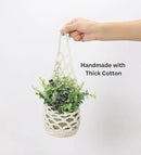 3PK Wall Planters for Indoor Plants, Macrame Plant Hanger | Wall Planter, Plant Hanger, Hanging Planter (3PK, for 4 inch Pot) by CozyNest Decor