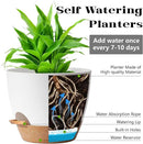 Plant Pots,12+10+9 Inch Self Watering Pots with Drainage Hole for Indoor Plants Large Flower Pot, Plants Pots Indoor Outdoor,Modern White Plastic Planters for Indoor Plants by GreenHaven Gardens