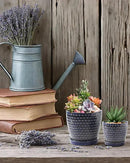 Plant Pots, Flower Pots, Planters for Indoor Plants(6.5+5.5inch), Flower Pots for Indoor Plants with Drainage Hole and Saucer, Ceramic Pots for Plants with Hole Mesh Pad,Reactive Glaze Blue by GreenHaven Gardens