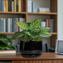 G EPGardening Ceramic Planter 7 Inch - Ceramic Pot for Plants with Drainage and Saucer, Round Plant Pots, Modern Indoor Outdoor Planter, Home Decor, Garden Gifts, Black by GreenHaven Gardens