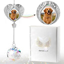 Pet Memorial Suncatcher - Dog Memorial Gifts for Loss of Dog, Christmas Pet Paw Print Photo Ornament, Pet Sympathy Gift, Bereavement Gift Ideas for Dog or Cat Passing Away, Remembrance, Silver Metal by GreenHaven Gardens