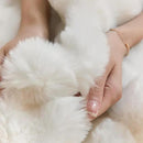 UKELER White Plush Furry Throw Blanket Super Soft Cozy Warm Blanket for Bed, Couch, Sofa, Office, Camping Shaggy Faux Fur Blanket Gift for Women, Men 50''x60'' by CozyNest Decor