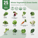 Organo Republic 25 Winter Vegetable Garden Seeds Variety Pack for Outdoors & Indoor Home Gardening 6500+ Non-GMO Heirloom Seeds: Broccoli Beet Carrot Collard Lettuce Radish Spinach Pea Kohlrabi by GreenHaven Gardens