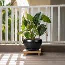 Ceramic Pot for Plants - 11 Inch Plant Pot Indoor with Drainage Hole and Saucer Large Planter Decorative Planter Modern Outdoor Flower Pot for House Balcony Black by GreenHaven Gardens