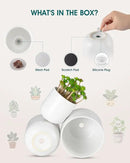 vancasso Ceramic Plant Pots, 4+5+6 inches, Set of 3, Planters with Drainage Hole, Flower Pots Planters Pots for Indoor Plants, Modern Indoor Decorative Garden Pot, Home Decor, White by GreenHaven Gardens