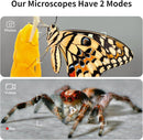 Microscope for Kids, Kids Microscope with 4.0" IPS Screen, Portable Digital Pocket Microscope for Kids 8-12, Miniscope Kids Compatible with iPhone Android Computer by TinyTreasures Baby Boutique